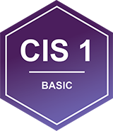 CIS 1 - BASIC