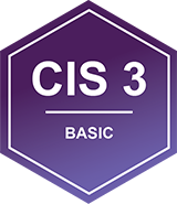 CIS 3 - Continuous Vulnerability Management