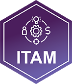 ITAM_icon
