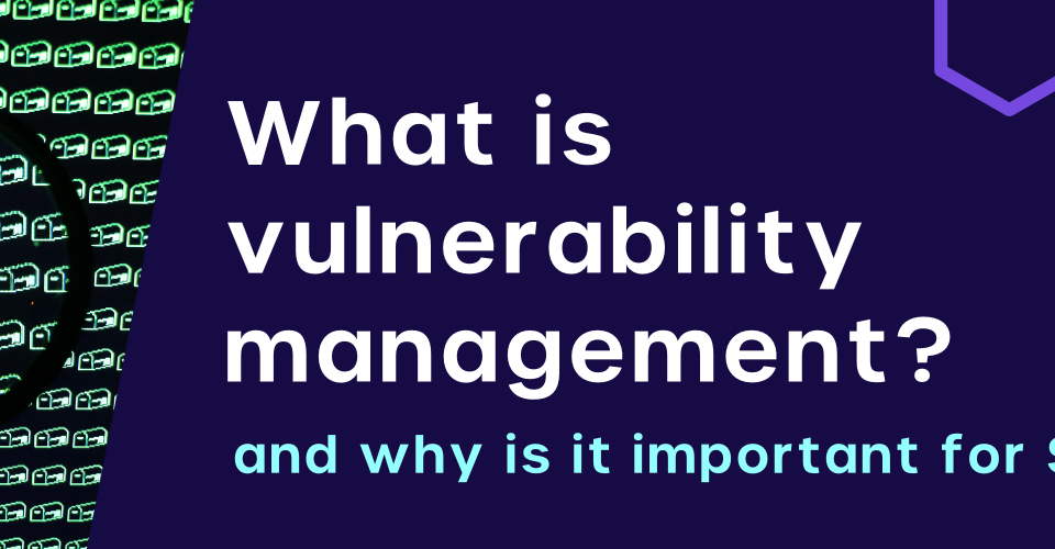 vulnerability management solutions for smbs and startups
