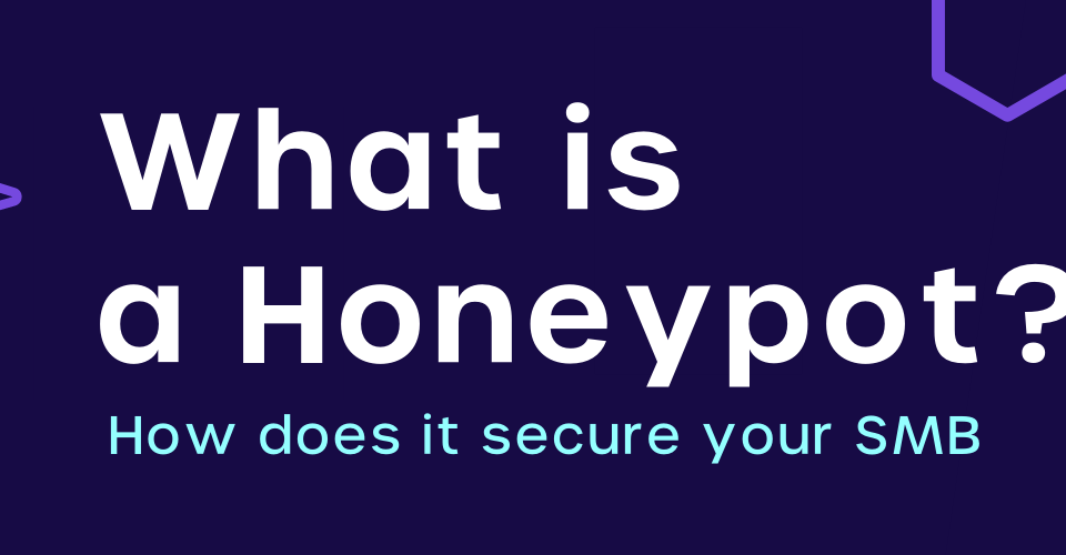 understanding honeypot and honeynet